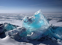 体育游戏-莫兰特脚踝扭伤轮椅离场 MRI检查或定灰熊命运